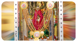 Plants: image 2 0f 4 thumb